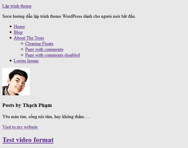 laptrinhtheme-finish-authortemplate