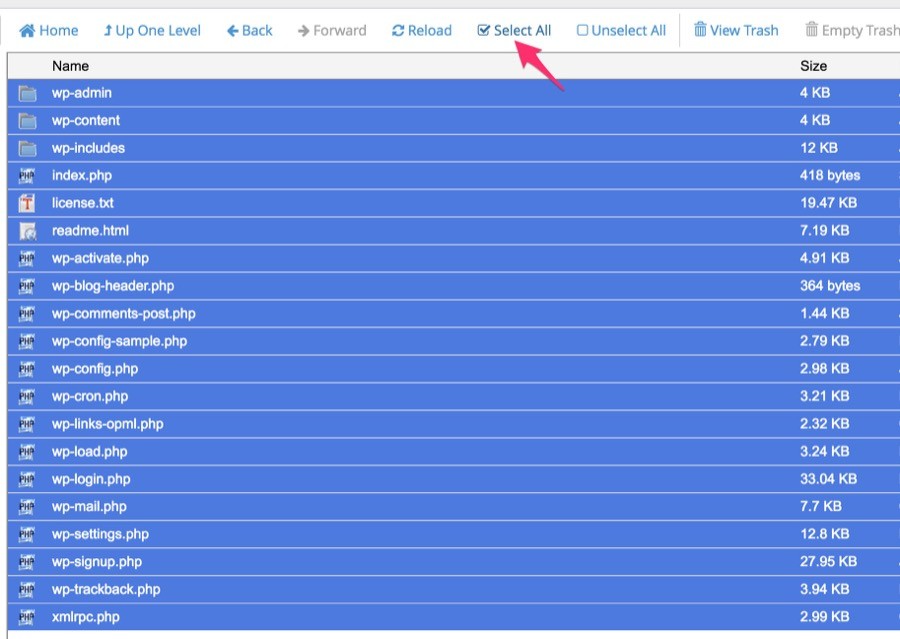 chuyenhostcpanel-2