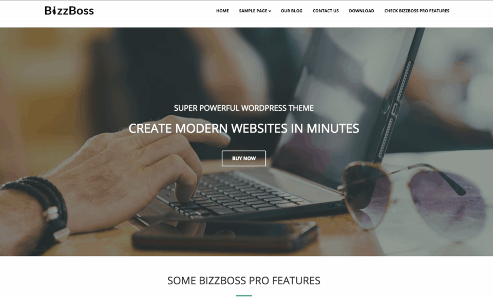 bizzboss-theme